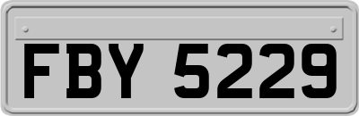 FBY5229