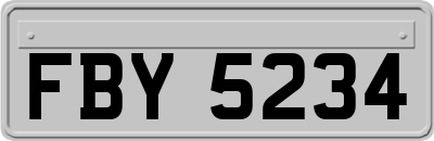 FBY5234