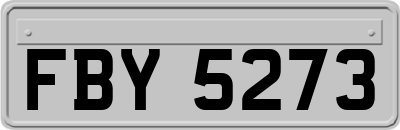 FBY5273