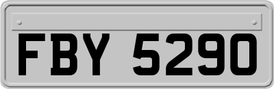 FBY5290