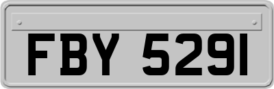 FBY5291