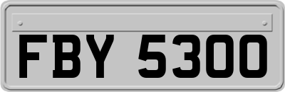 FBY5300