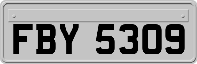 FBY5309