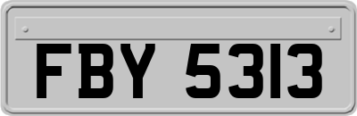 FBY5313
