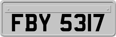 FBY5317