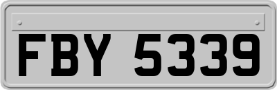 FBY5339