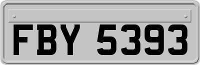 FBY5393