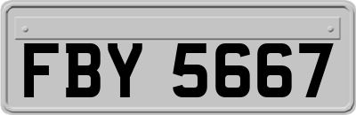 FBY5667