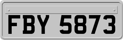 FBY5873