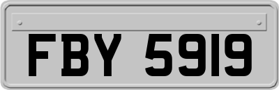FBY5919