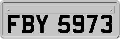 FBY5973