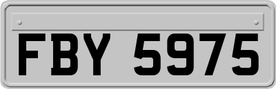 FBY5975