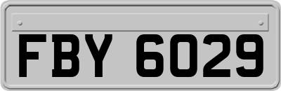FBY6029