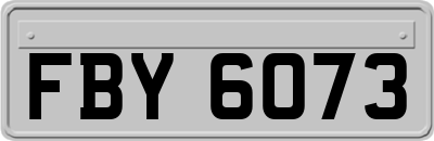 FBY6073