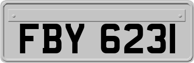 FBY6231