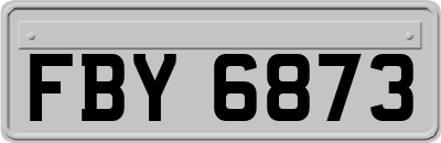 FBY6873