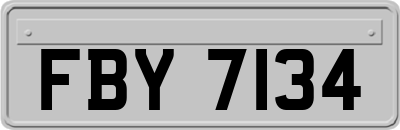 FBY7134