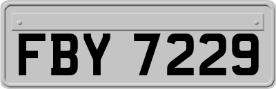 FBY7229