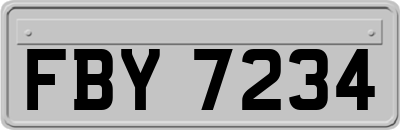 FBY7234