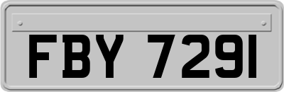 FBY7291