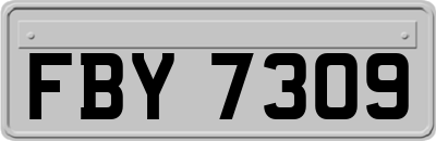 FBY7309