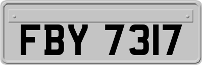 FBY7317