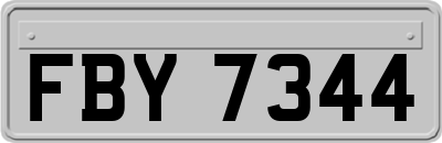 FBY7344
