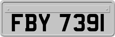 FBY7391