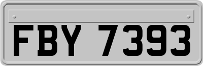FBY7393