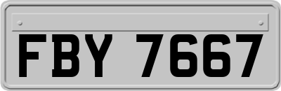 FBY7667