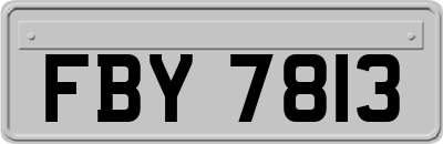 FBY7813