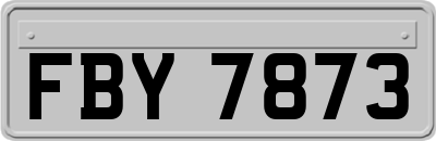 FBY7873