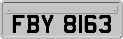 FBY8163