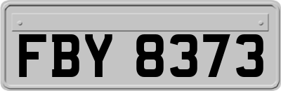 FBY8373