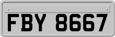 FBY8667