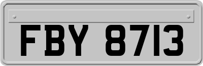 FBY8713