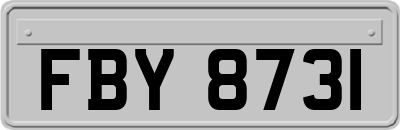 FBY8731
