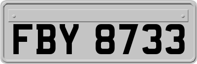 FBY8733