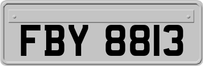 FBY8813
