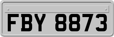 FBY8873