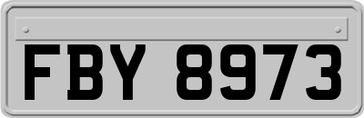 FBY8973