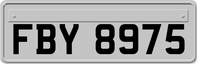 FBY8975
