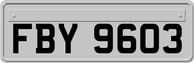 FBY9603