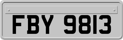 FBY9813
