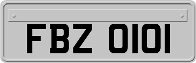 FBZ0101