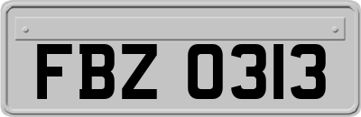 FBZ0313