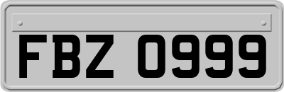 FBZ0999
