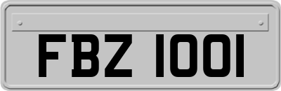 FBZ1001
