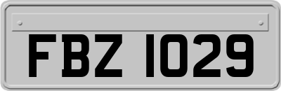 FBZ1029