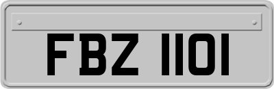 FBZ1101